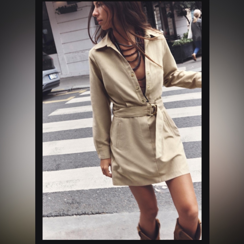 Zara Faux Suede Mini Dress